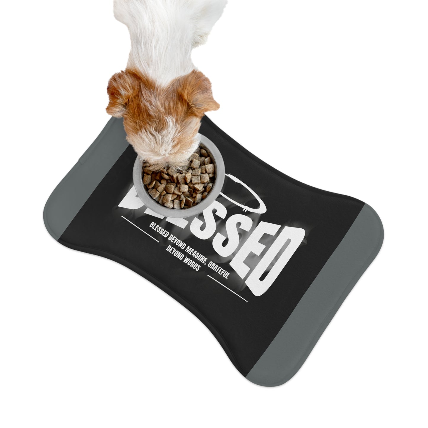 Pet Feeding Mats